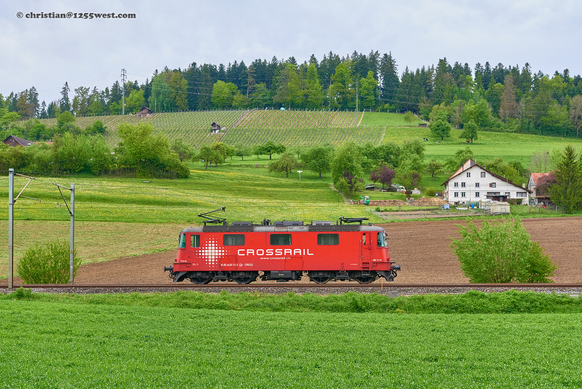 Schottikon - Elgg