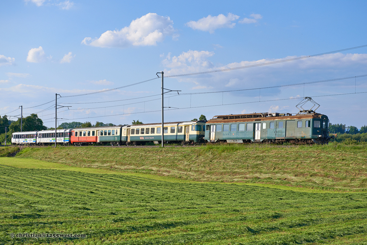 Muolen