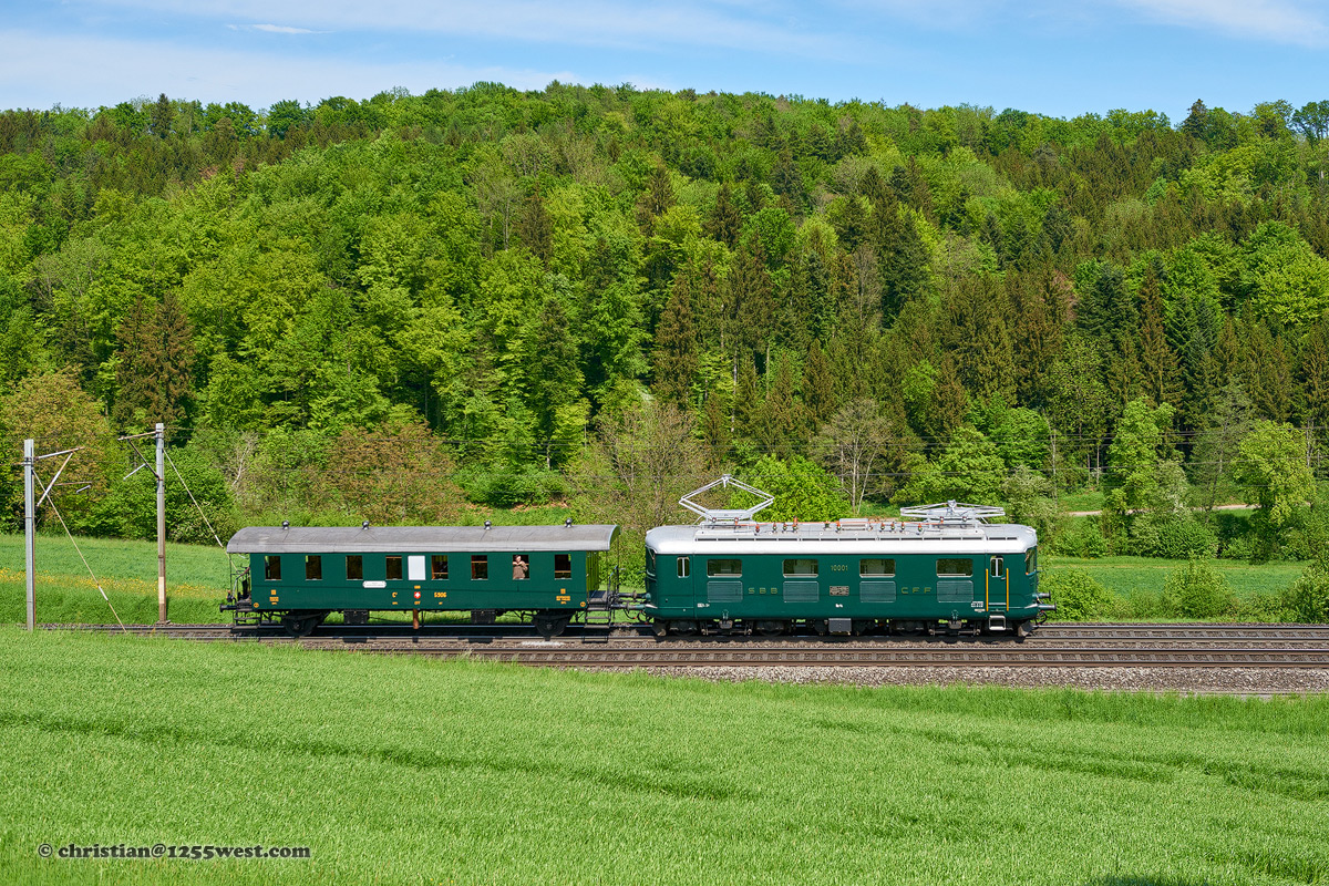 Hornussen - Effingen