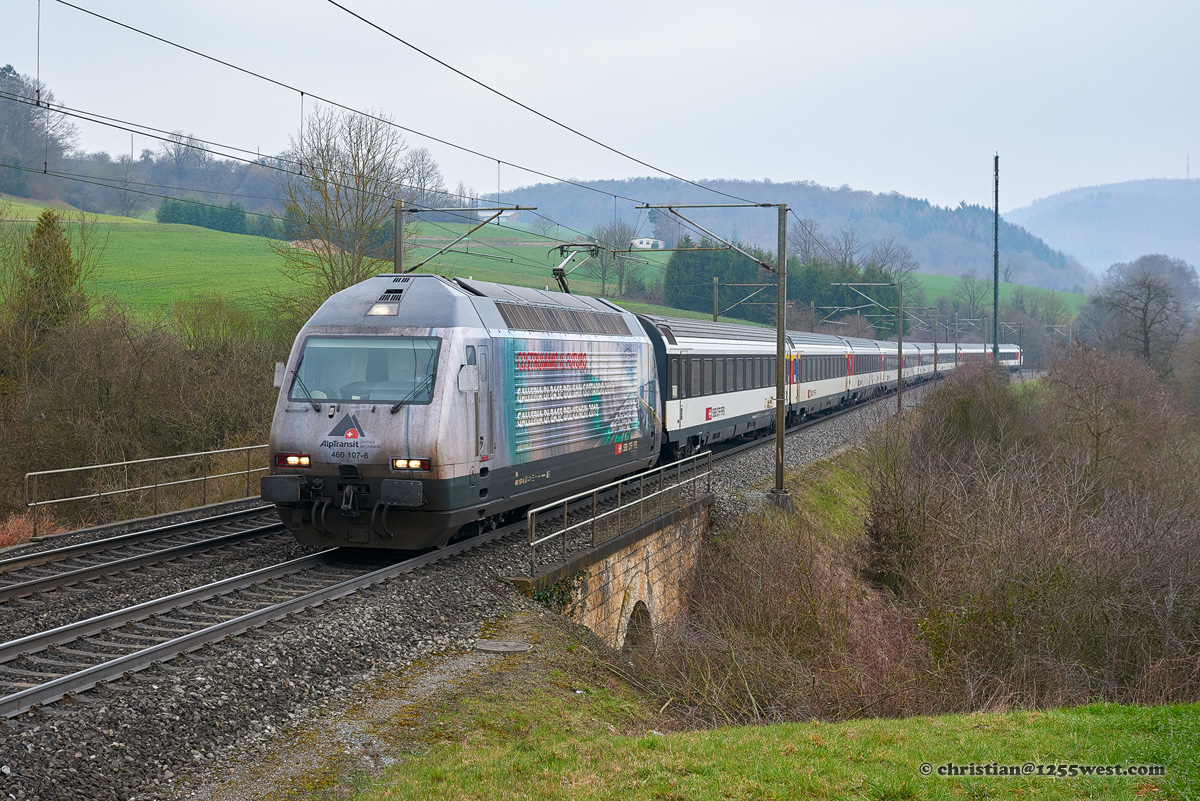 Hornussen - Effingen