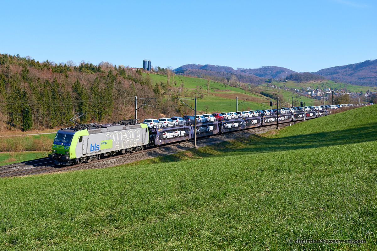 Effingen - Hornussen