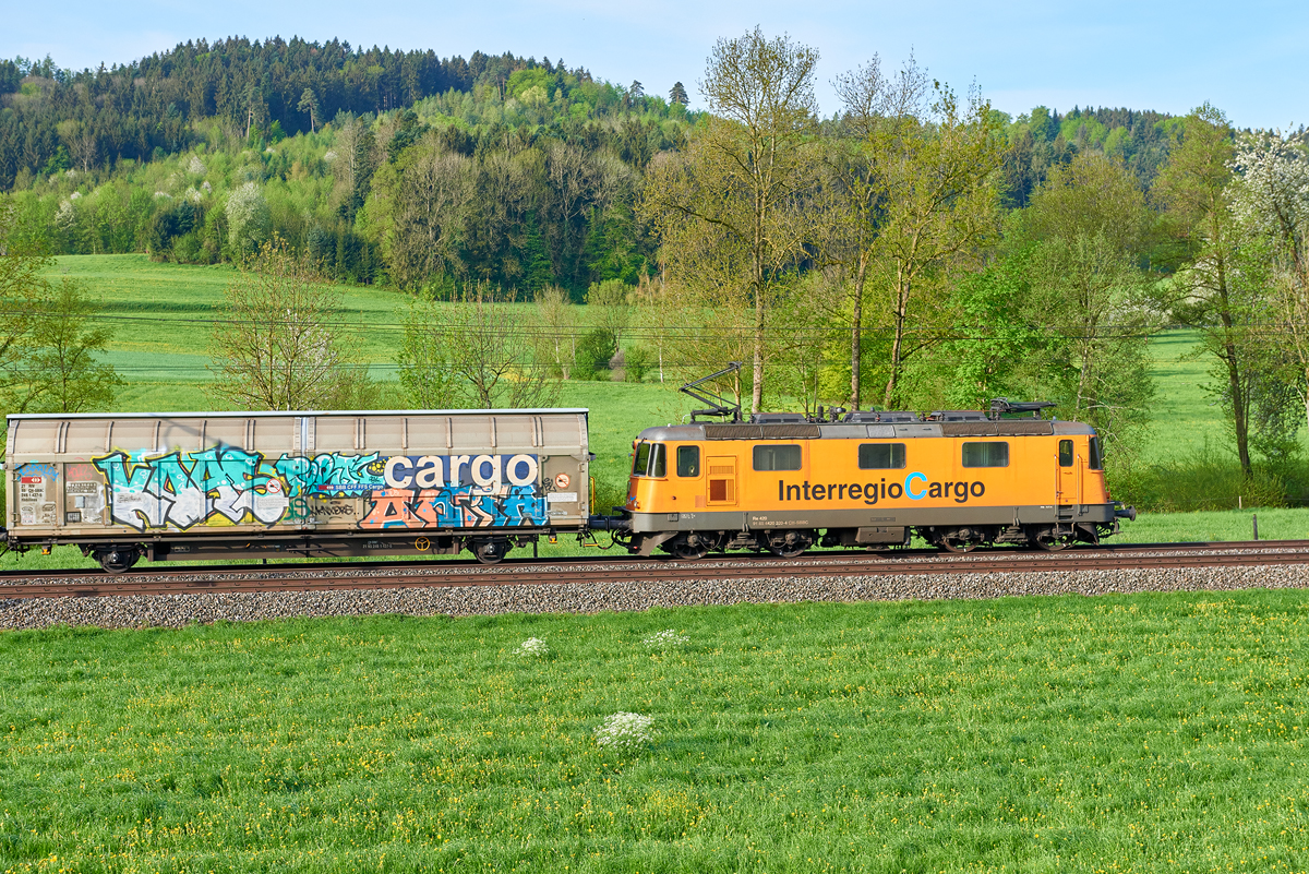 Eschlikon - Guntershausen
