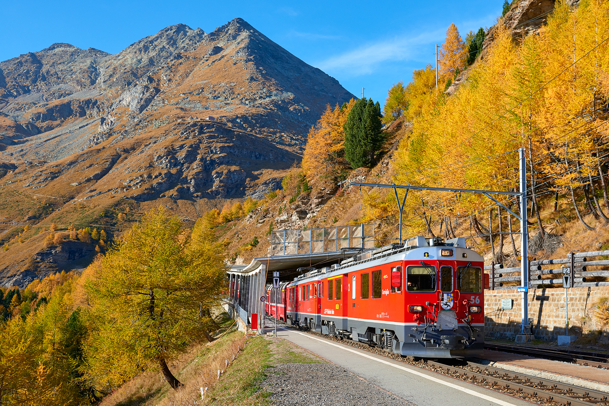 Alp Grüm