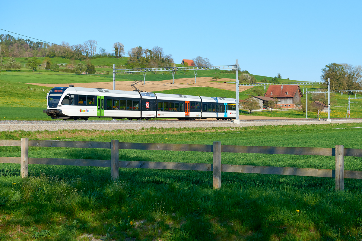 Schneit (Elgg - Schottikon)