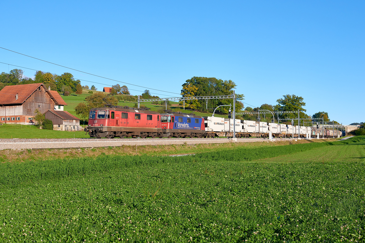 Schneit (Elgg - Schottikon)