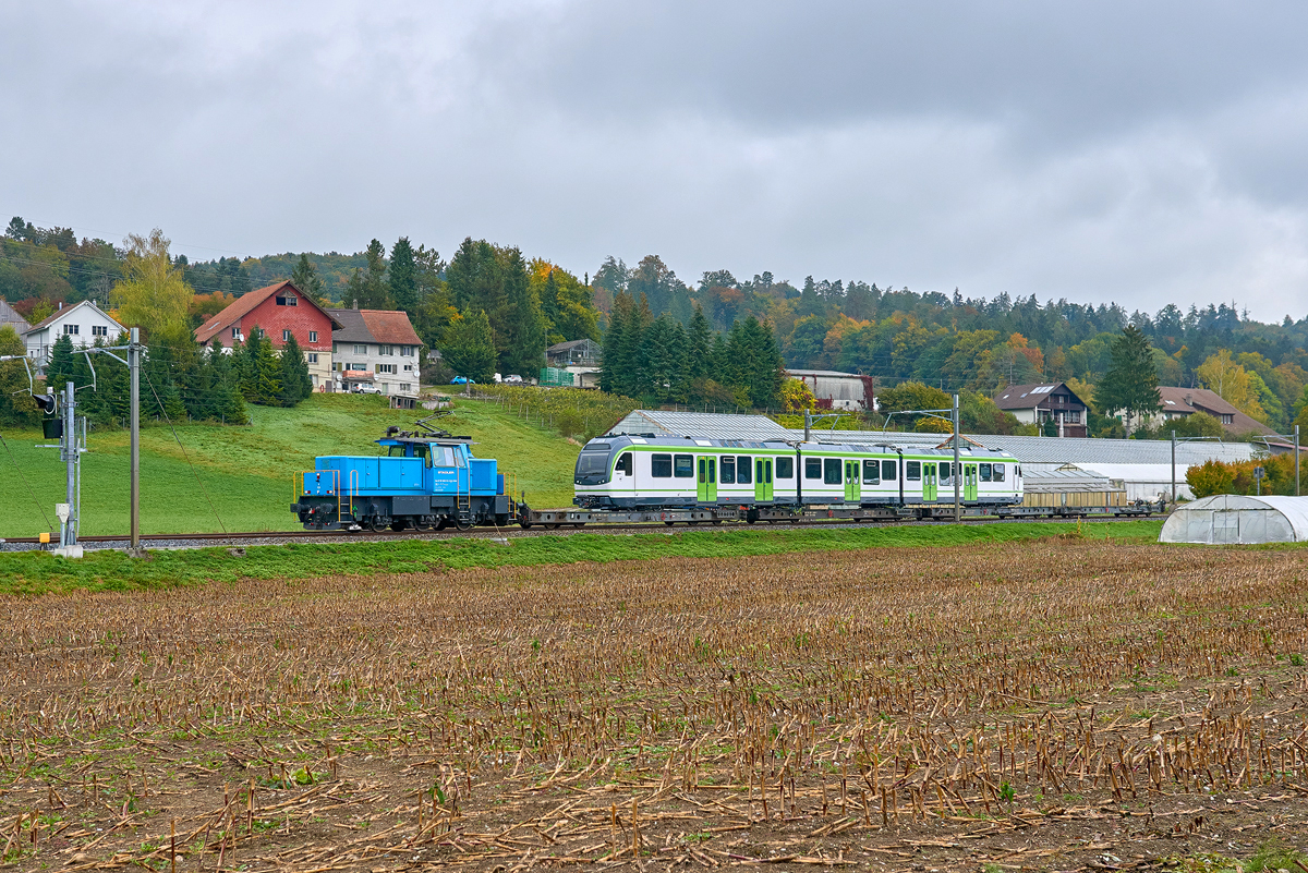 Elgg - Schottikon