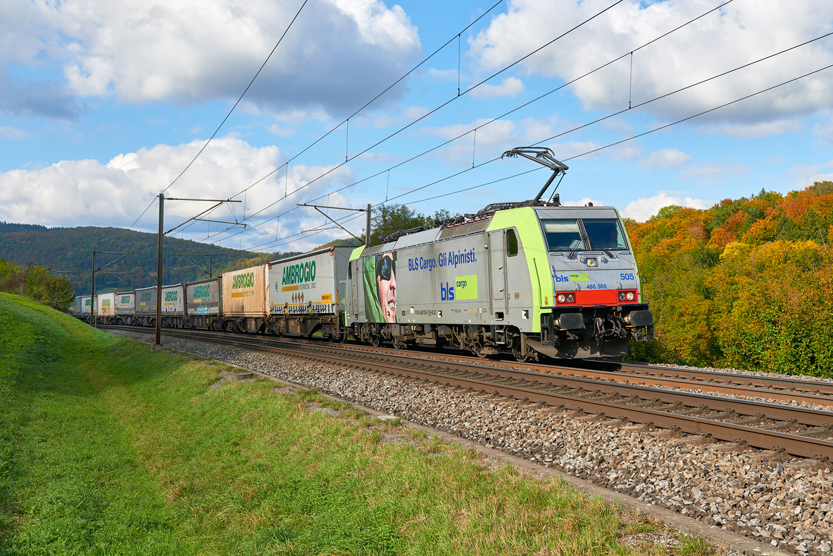 Hornussen - Effingen