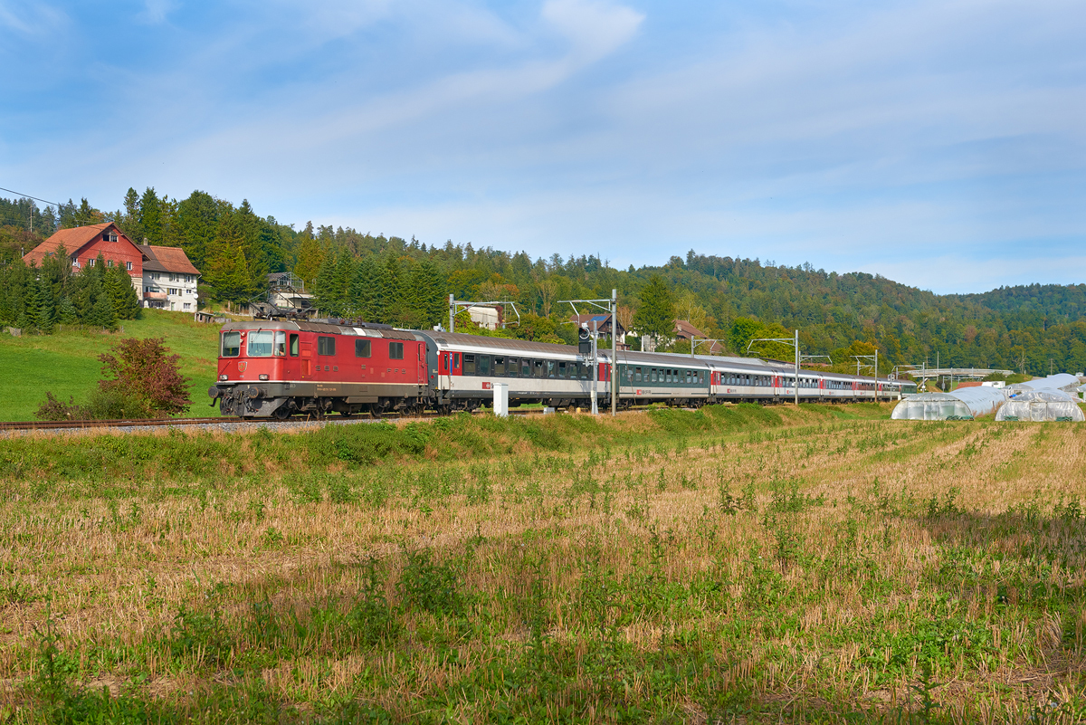 Elgg - Schottikon