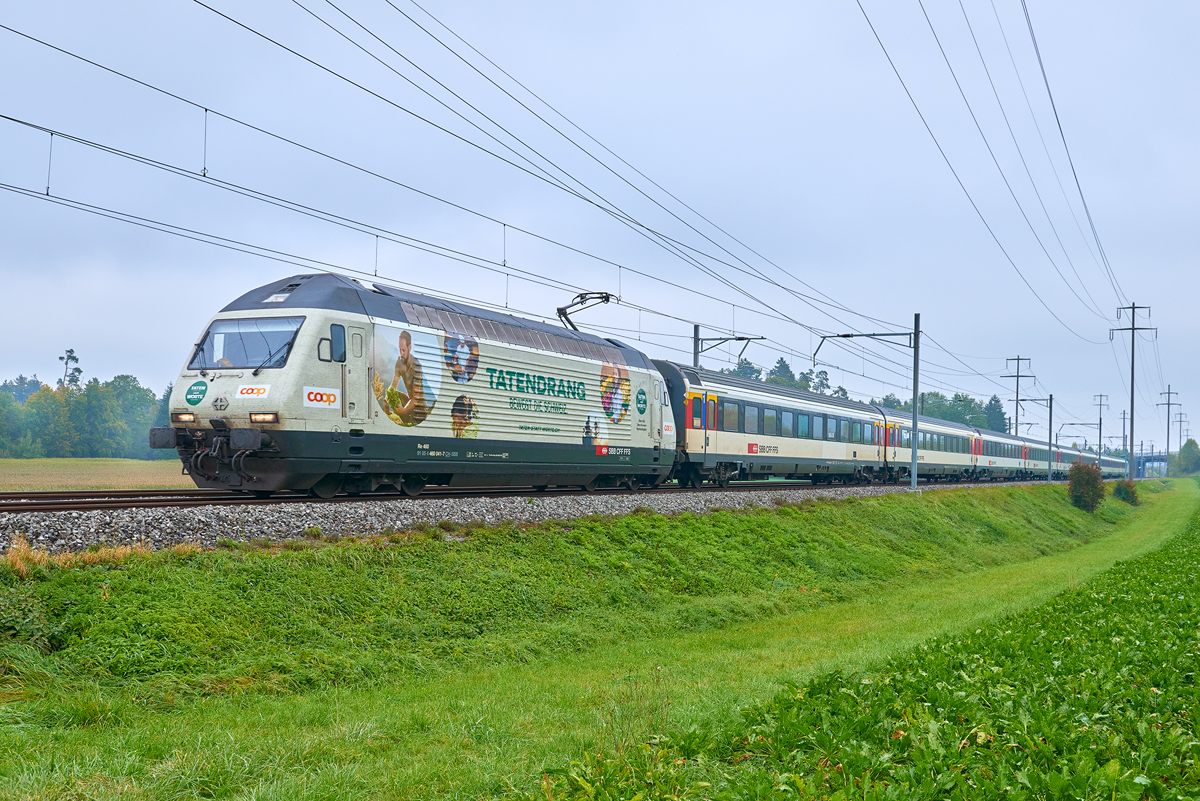 Islikon - Rickenbach-Attikon