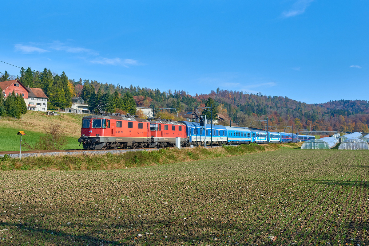 Elgg - Schottikon