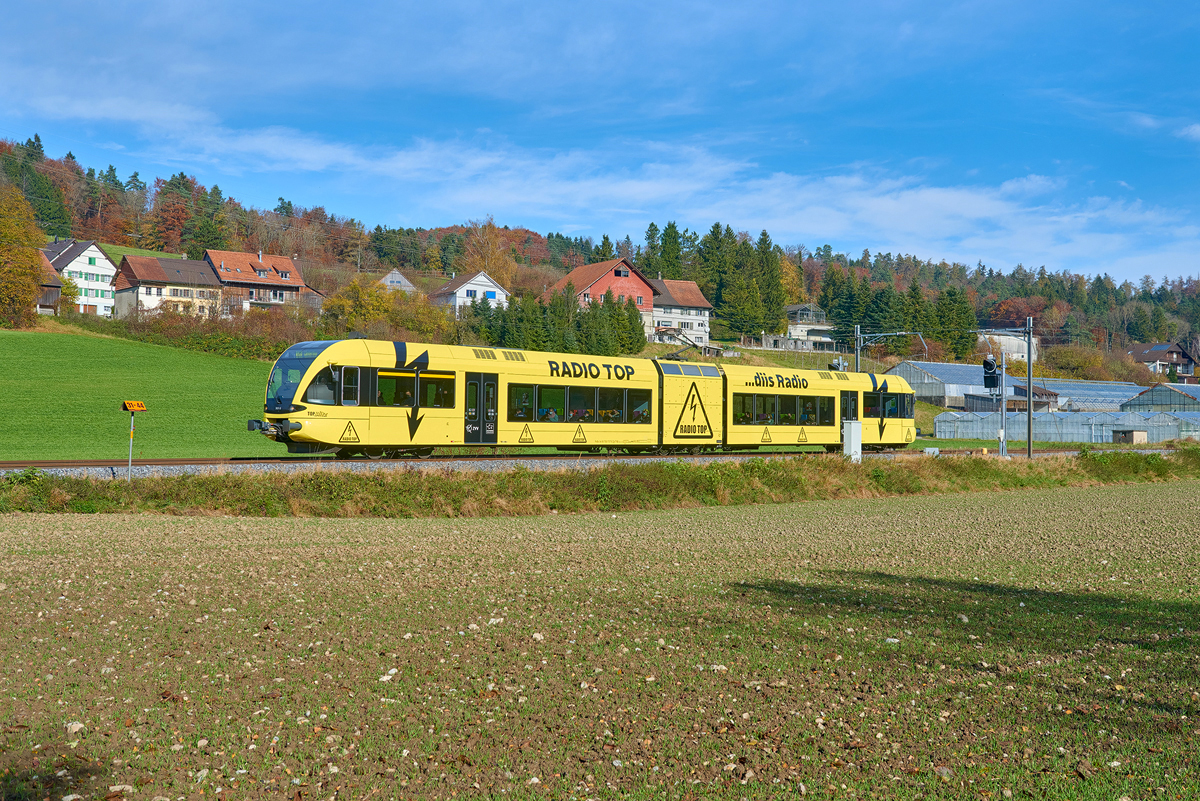 Elgg - Schottikon