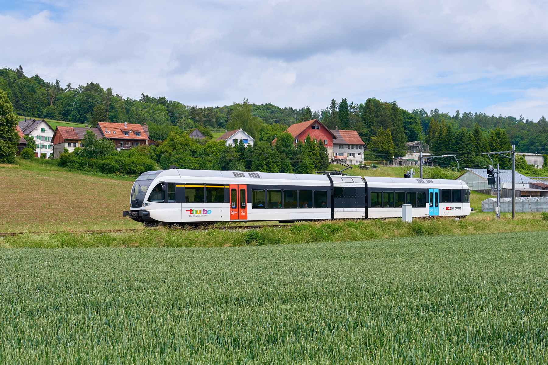 Elgg - Schottikon