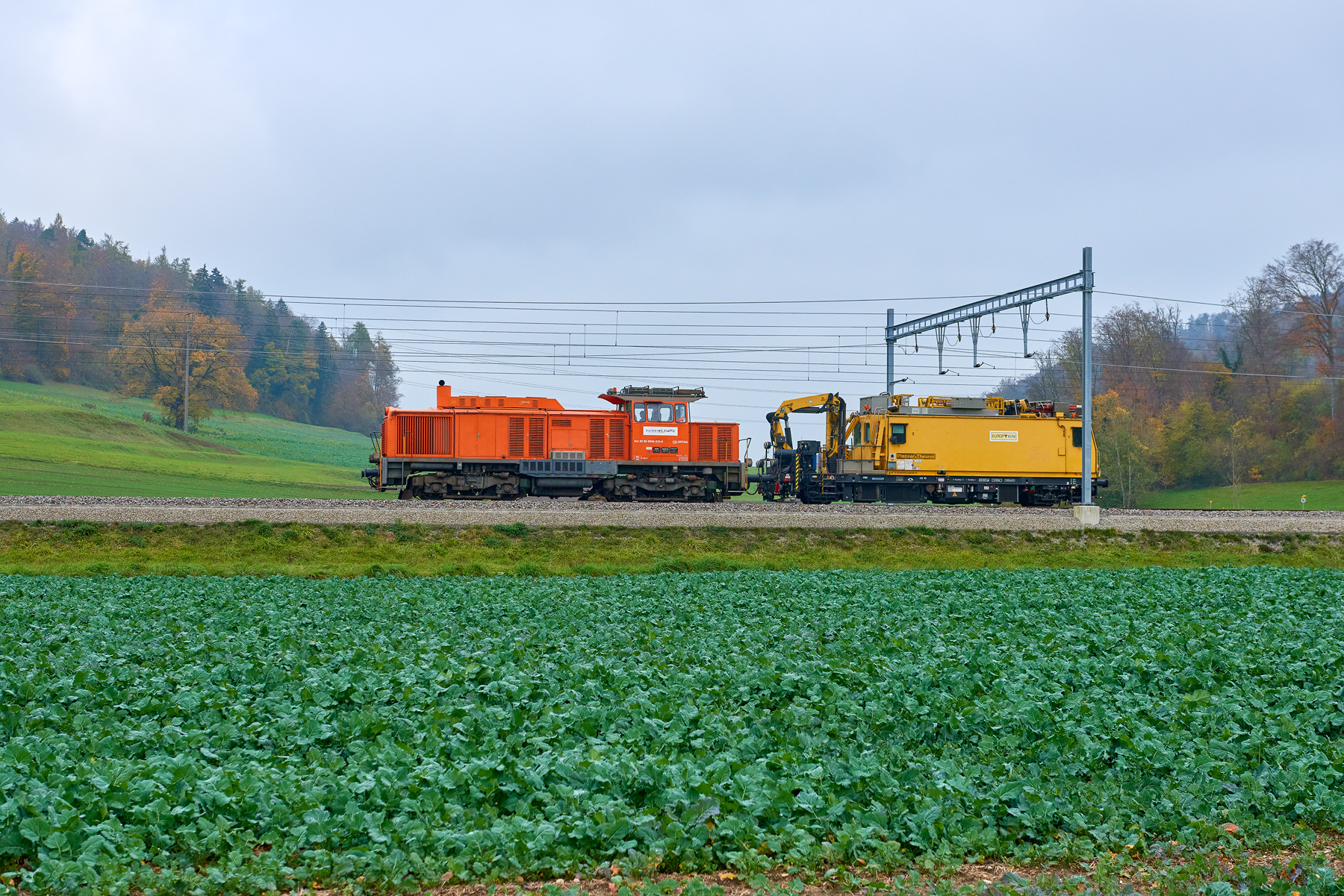 Schneit (Elgg - Schottikon)