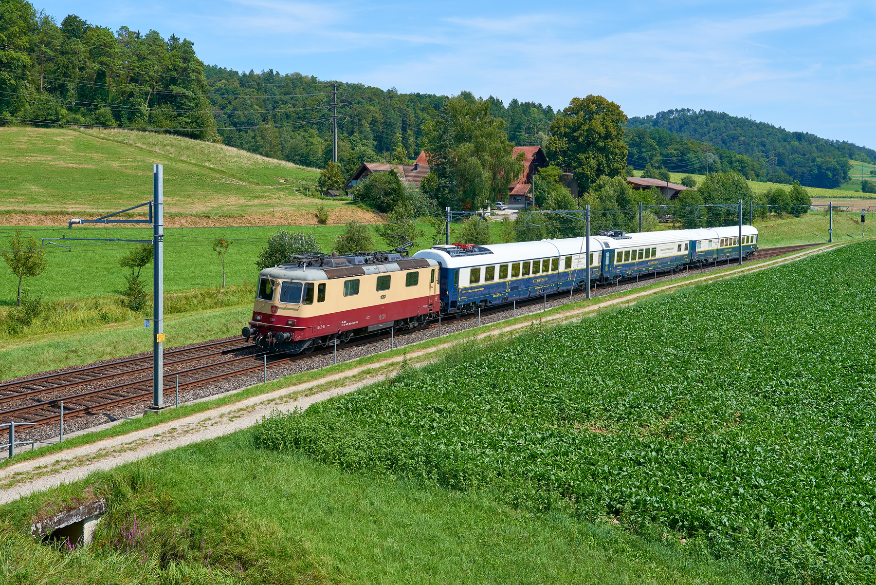 Elgg - Schottikon