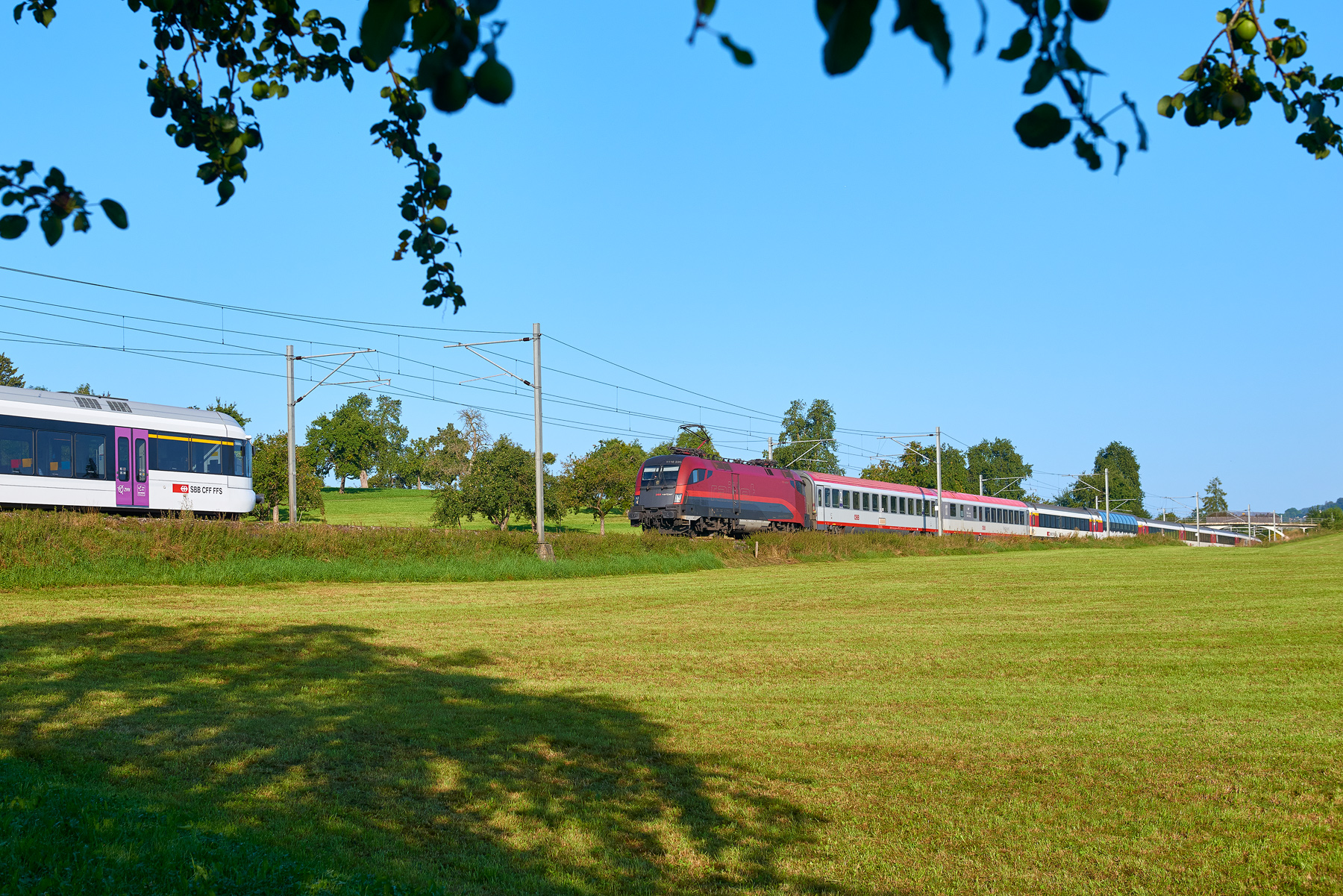 Algetshausen-Henau