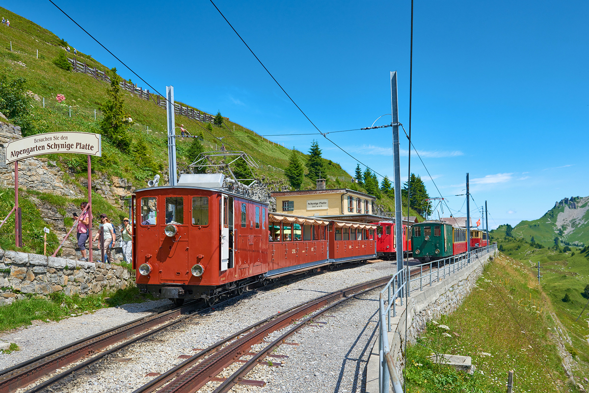 Schynige Platte