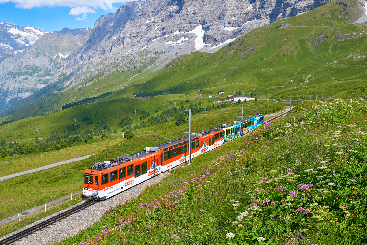 Salzegg - Kleine Scheidegg
