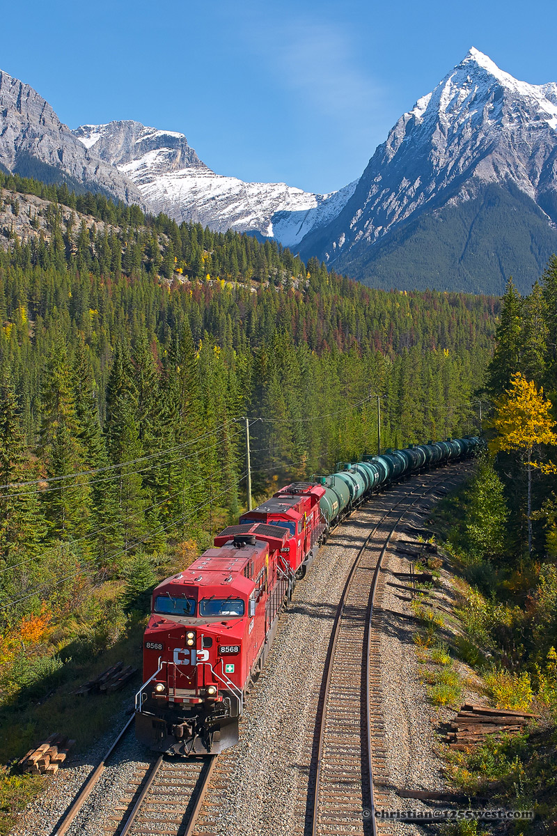 Leanchoil Siding (Ottertail - Golden, BC)