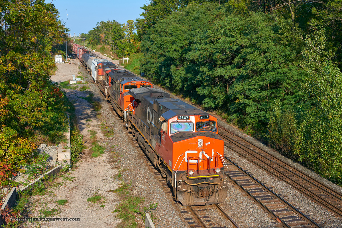 Aldershot - Bayview Junction, ON (CN Snake )