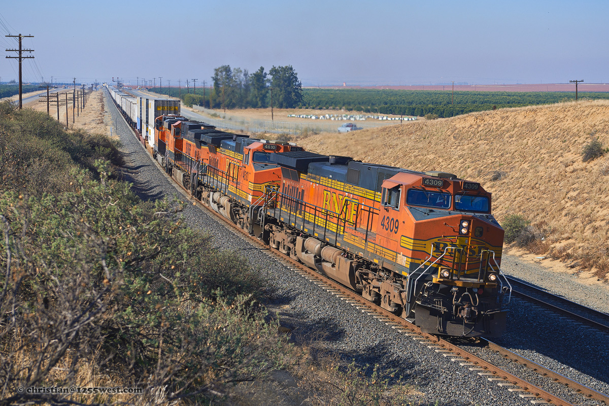 E012481c