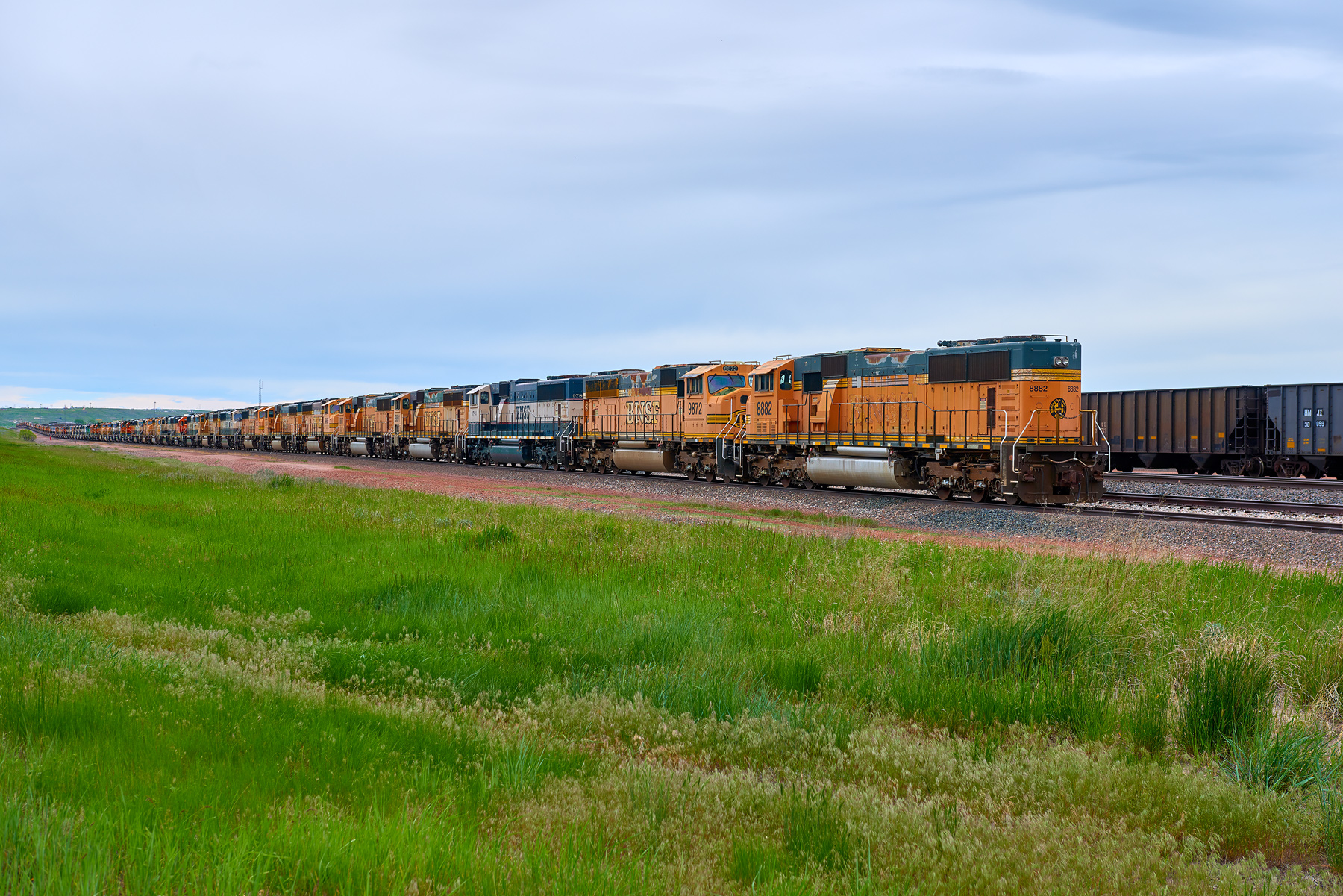 Donkey Creek Yard (Rozet, WY)
