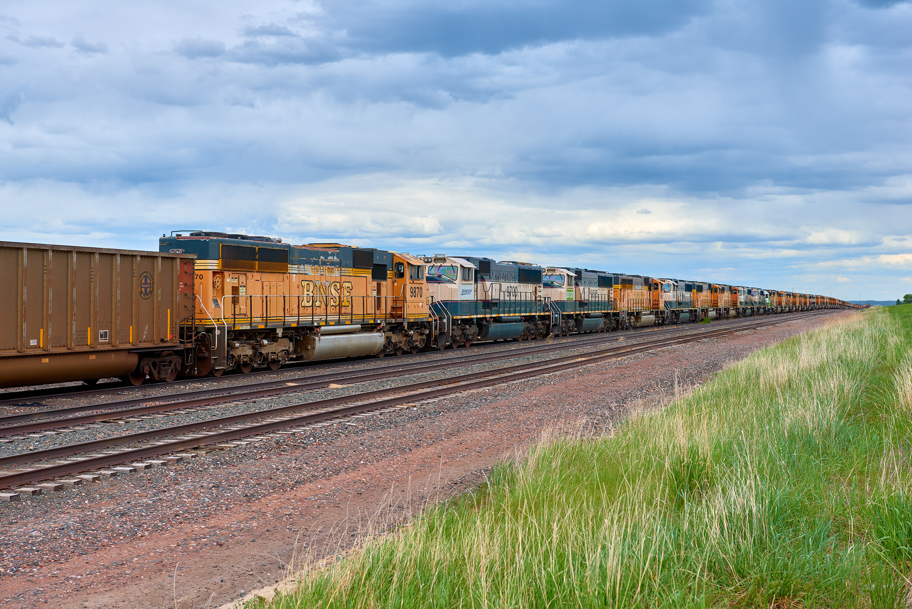Donkey Creek Yard (Rozet, WY)