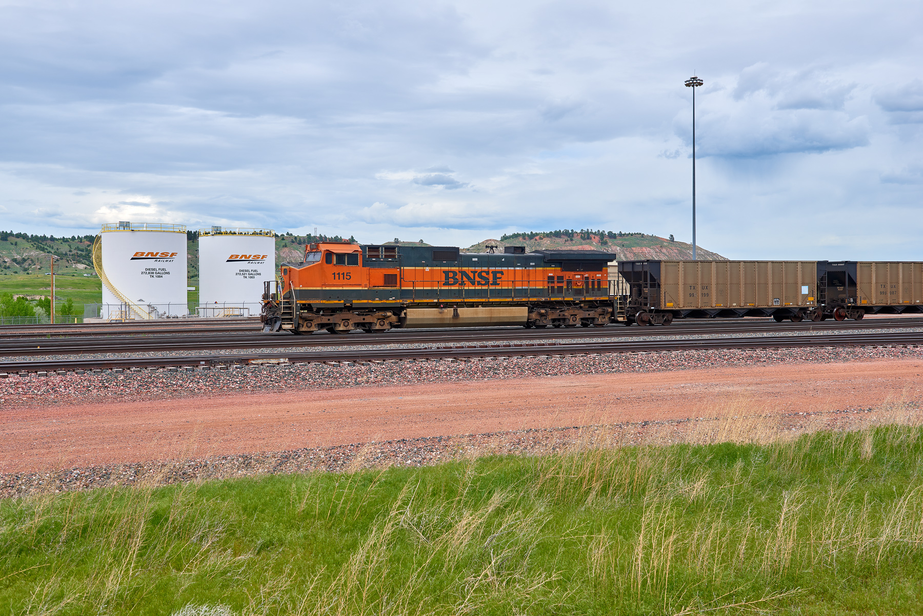 Donkey Creek Yard (Rozet, WY)
